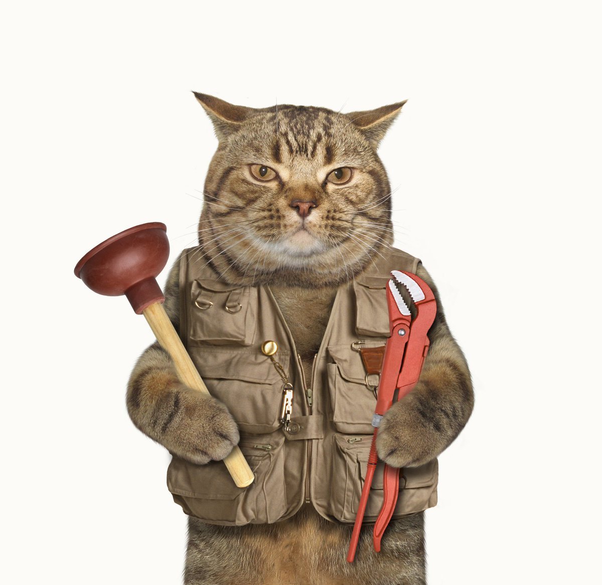 Котик сантехник