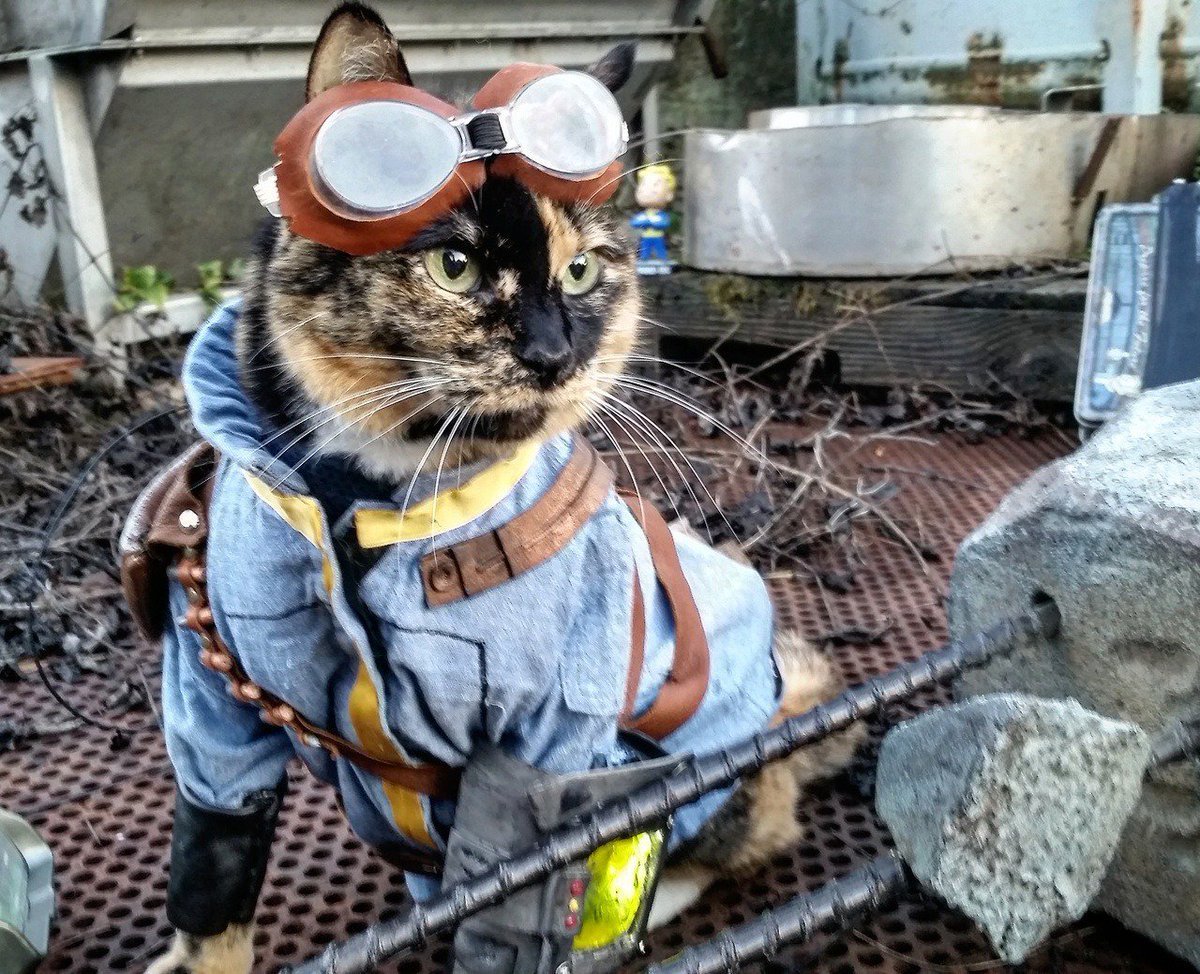 Кот инженер