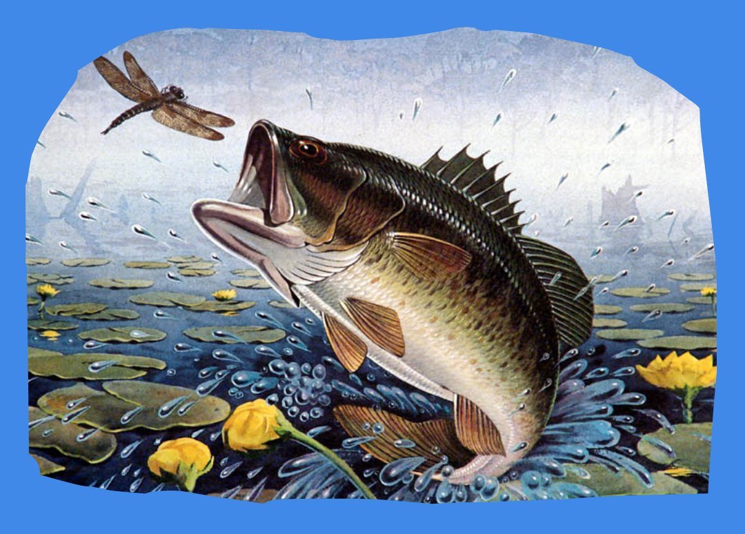 Окунь живопись