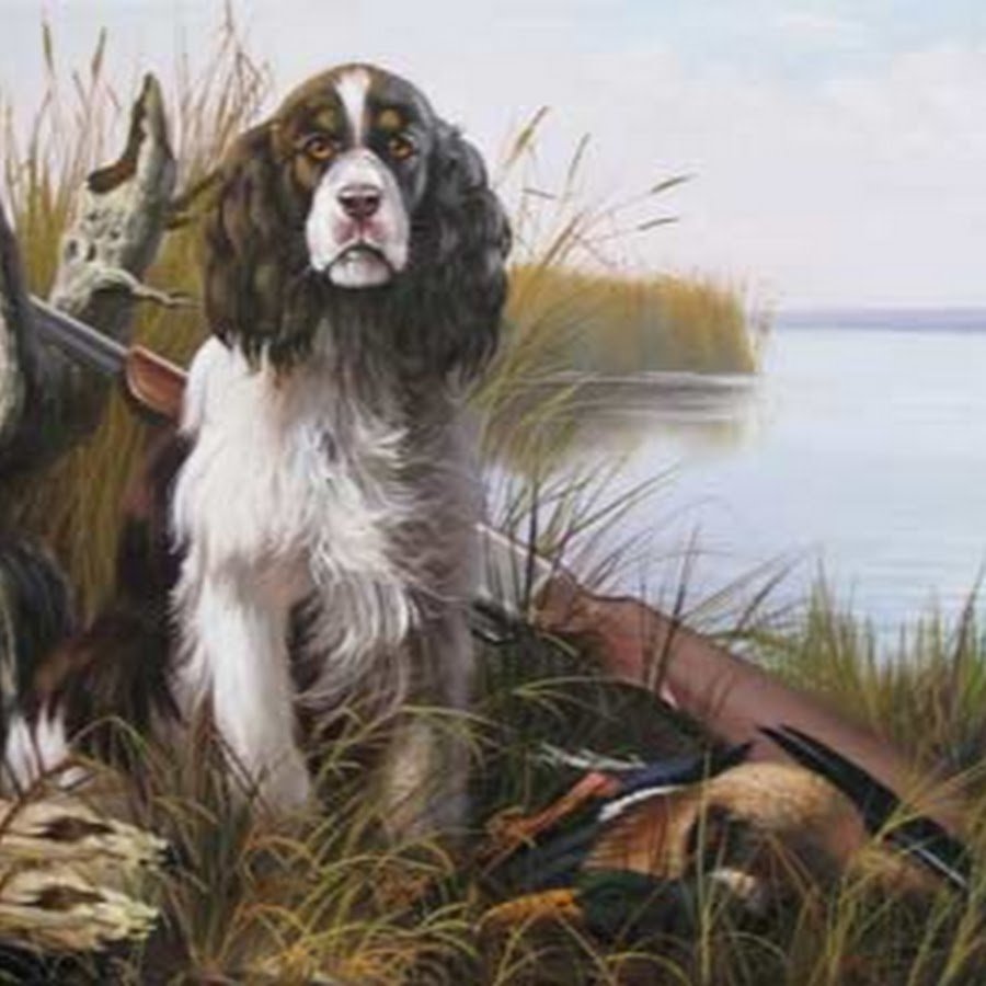 Утиная охота спаниель художник