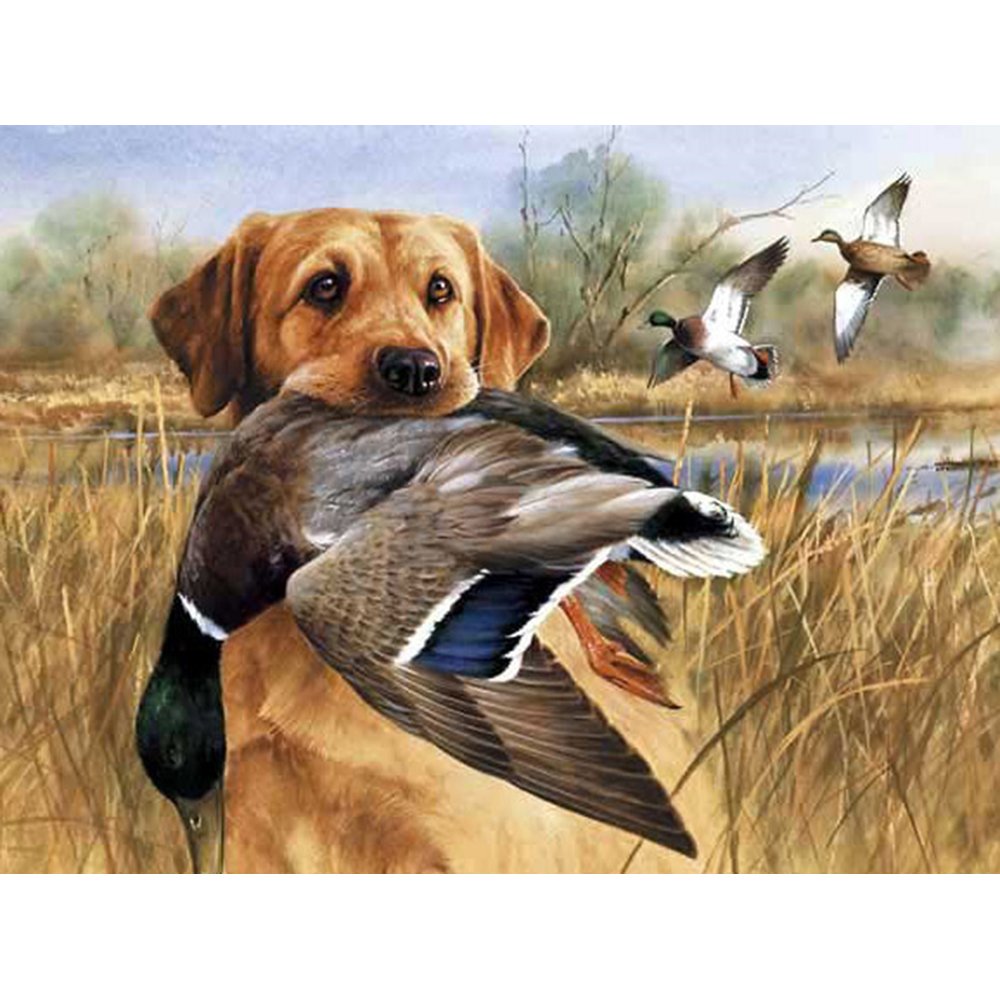 Художник Jim killen утки