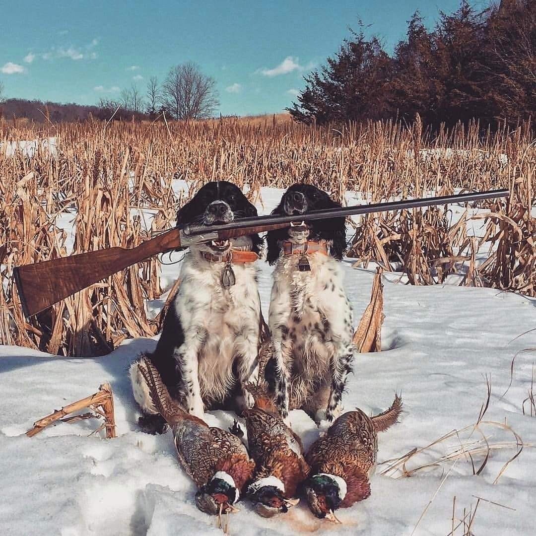 Охотник охотится