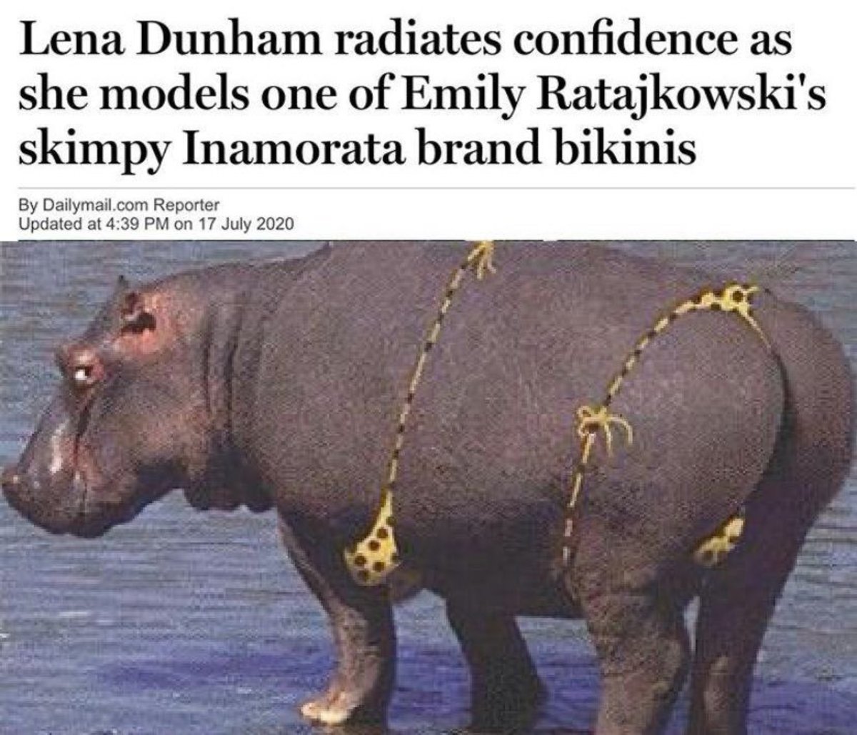 Слоненок купается в океане