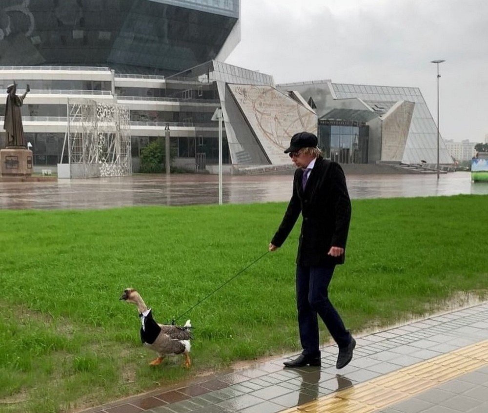 Гусь на поводке