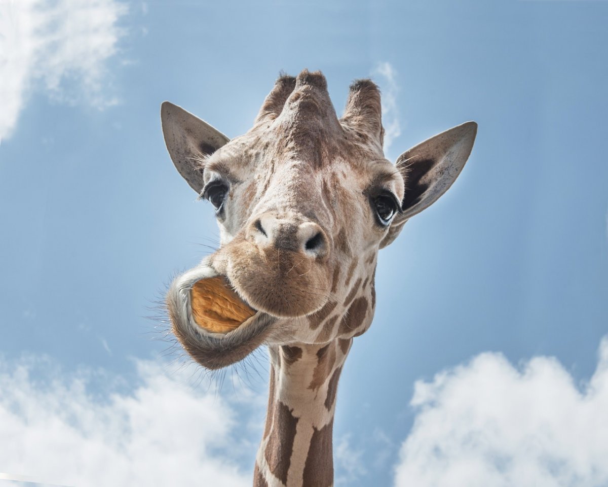 Не имея возможности жить вечно