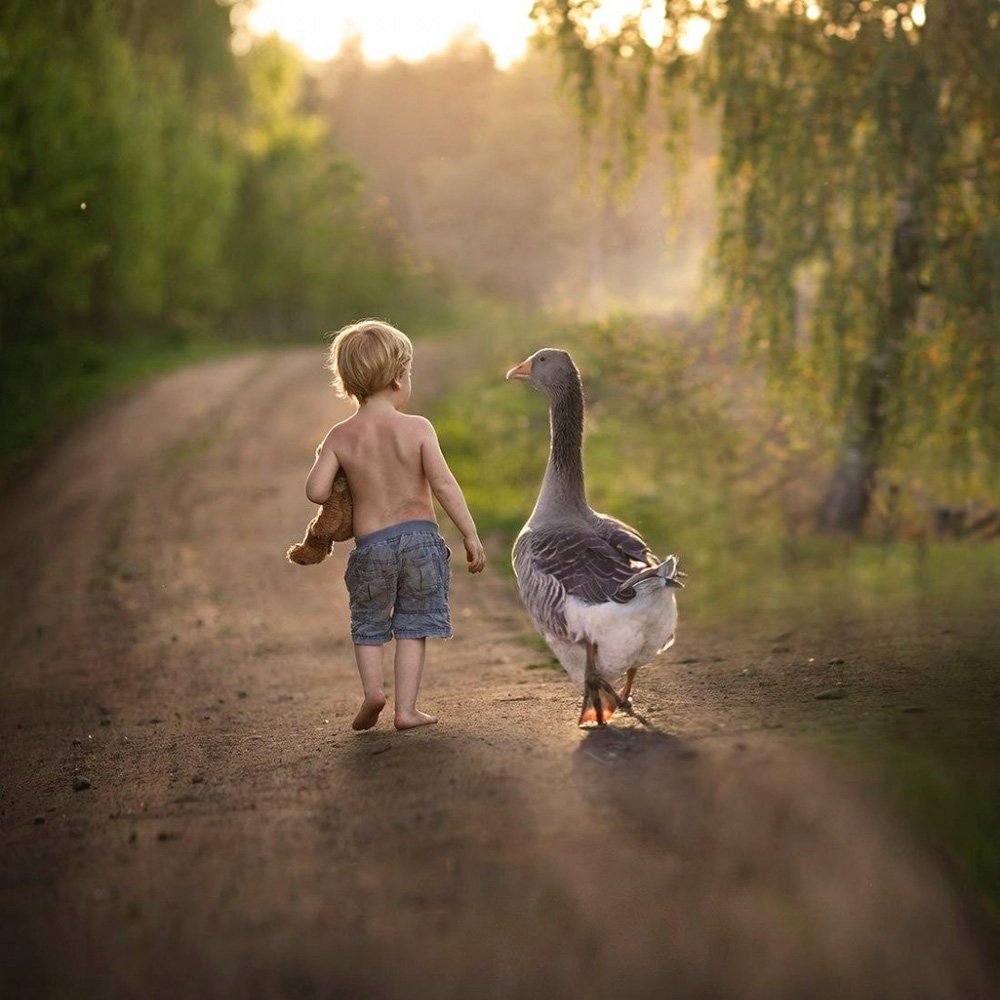 Фотохудожник Елена Шумилова