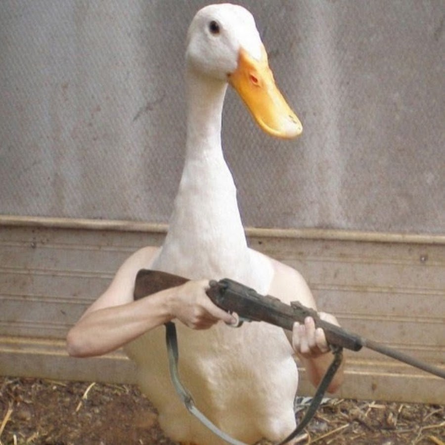 Мальчик убегает от гуся