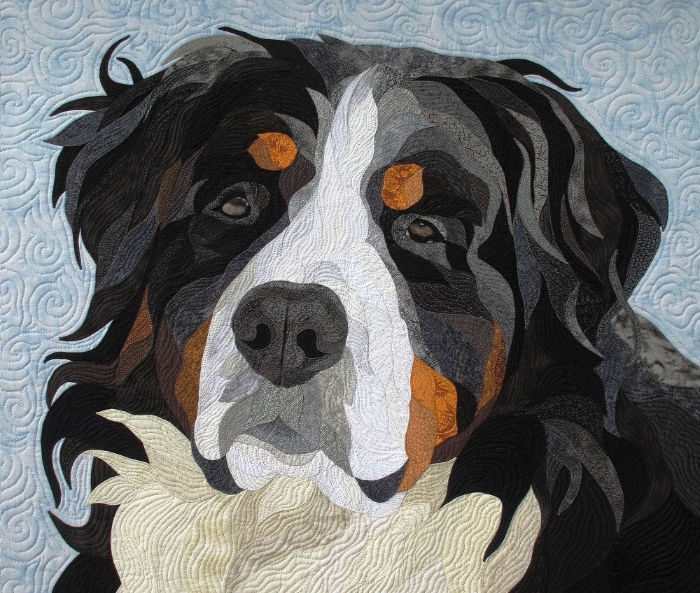 Швейцарский Аппенцеллер зенненхунд