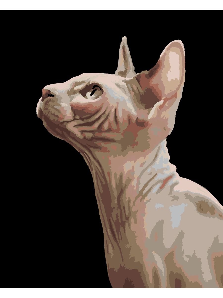 Кошка сфинкс сбоку