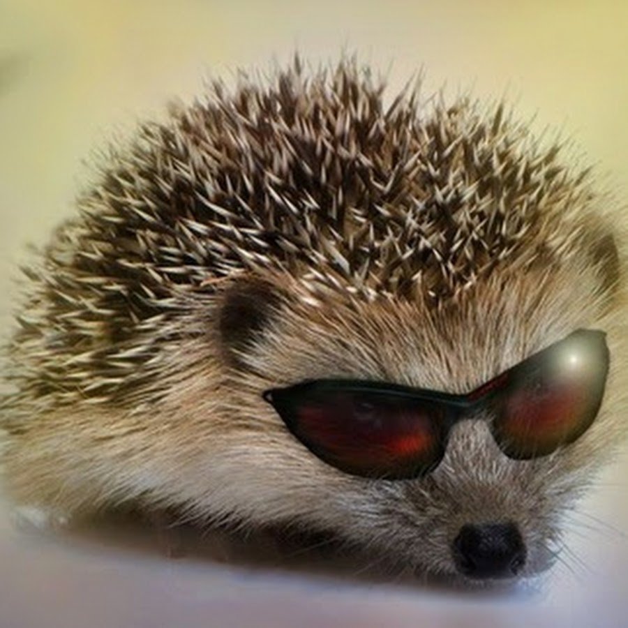 Леонид Зайко