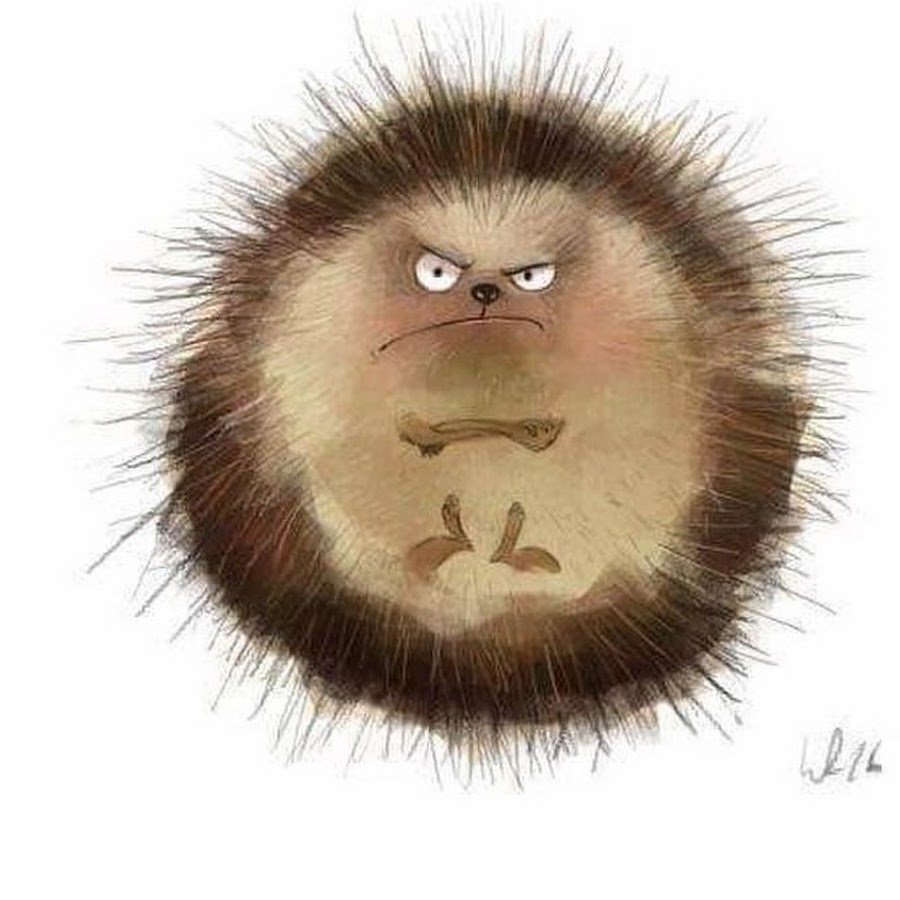 Вредный Ежик