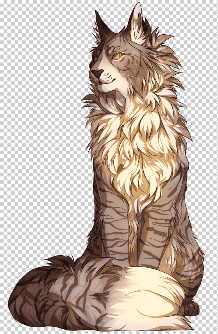 Мейн кун альбинос