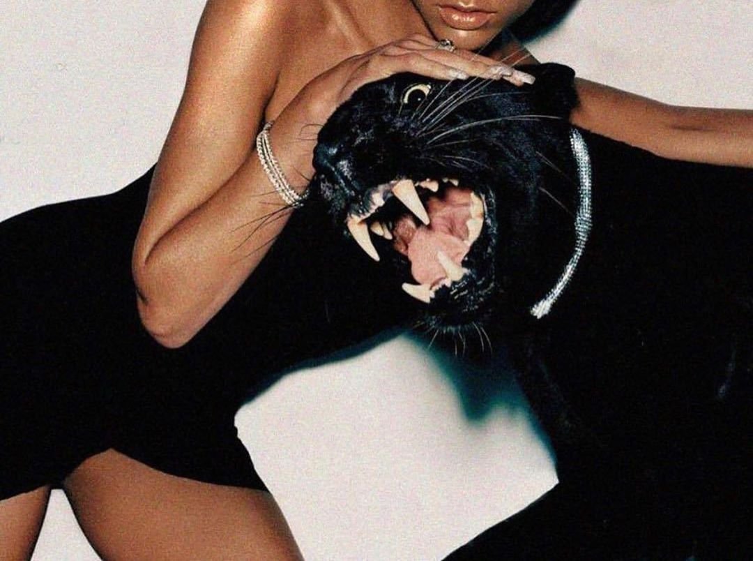 Bagheera актриса