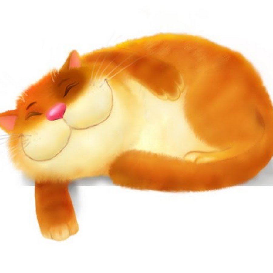 Жирный рыжий кот