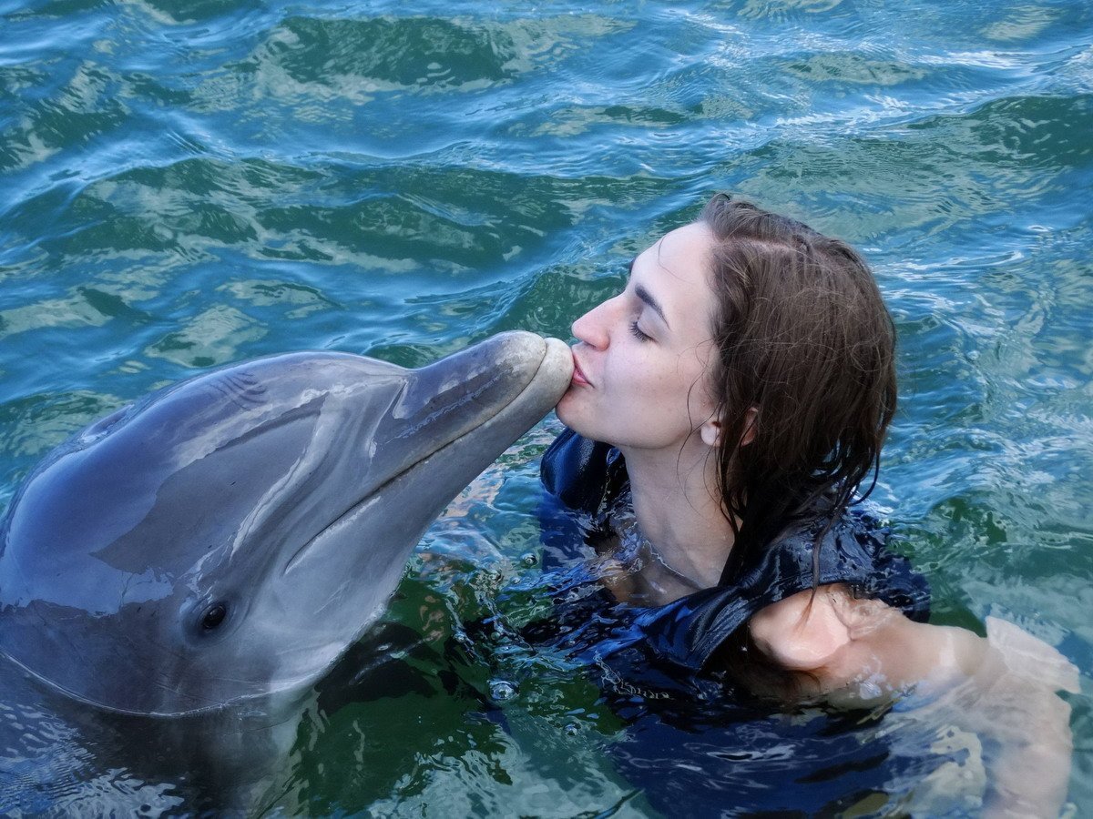 Удовольствие с дельфином. Дельфины. Дельфин картинка. Дельфины дружелюбные. Дельфины и люди.
