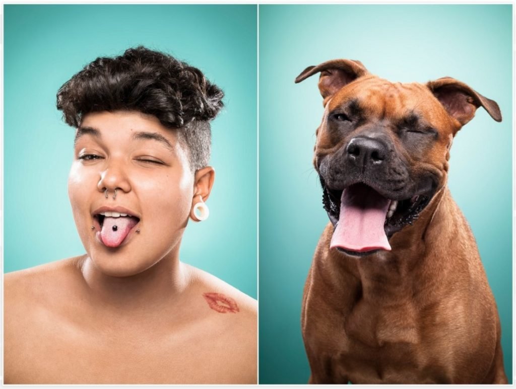 Собака после встречи с дикобразом