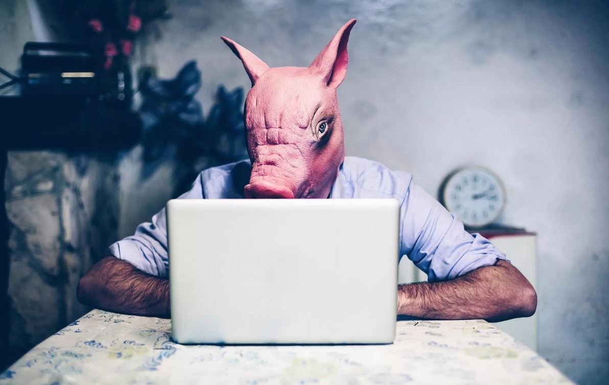 Спящий поросенок