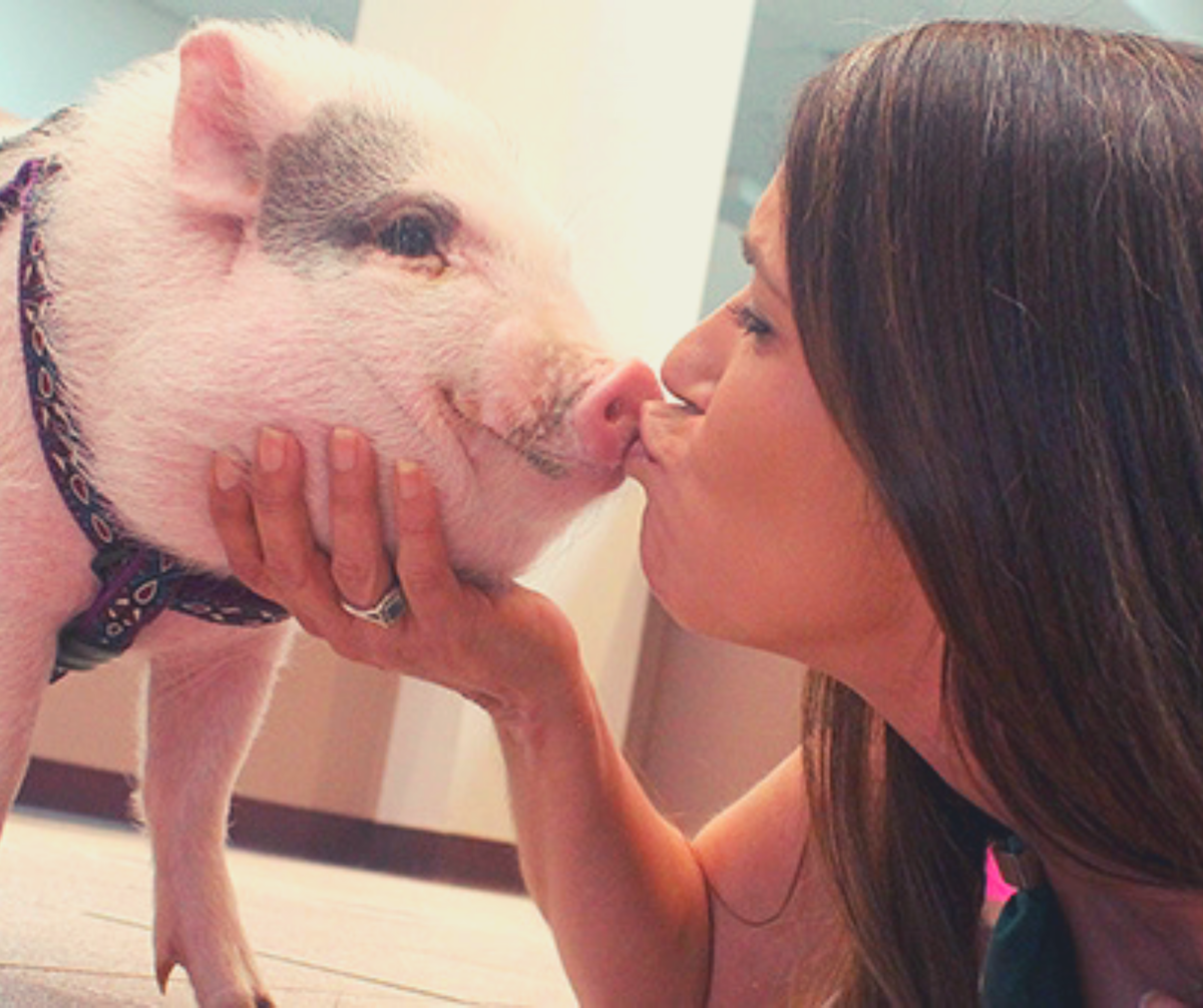 Свиноматка девушка