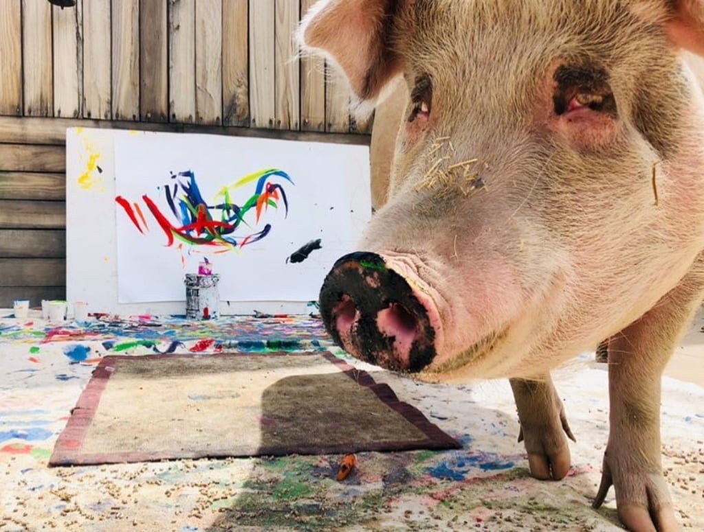 Поросёнокс яьлокрм во рту