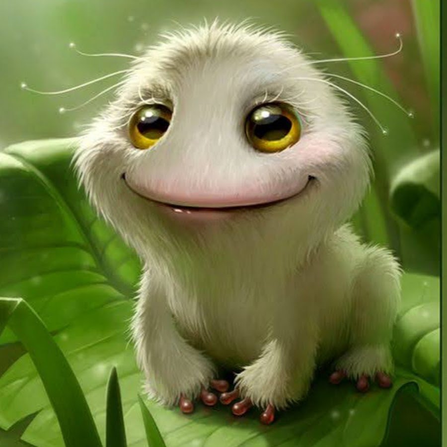 Trichobatrachus robustus