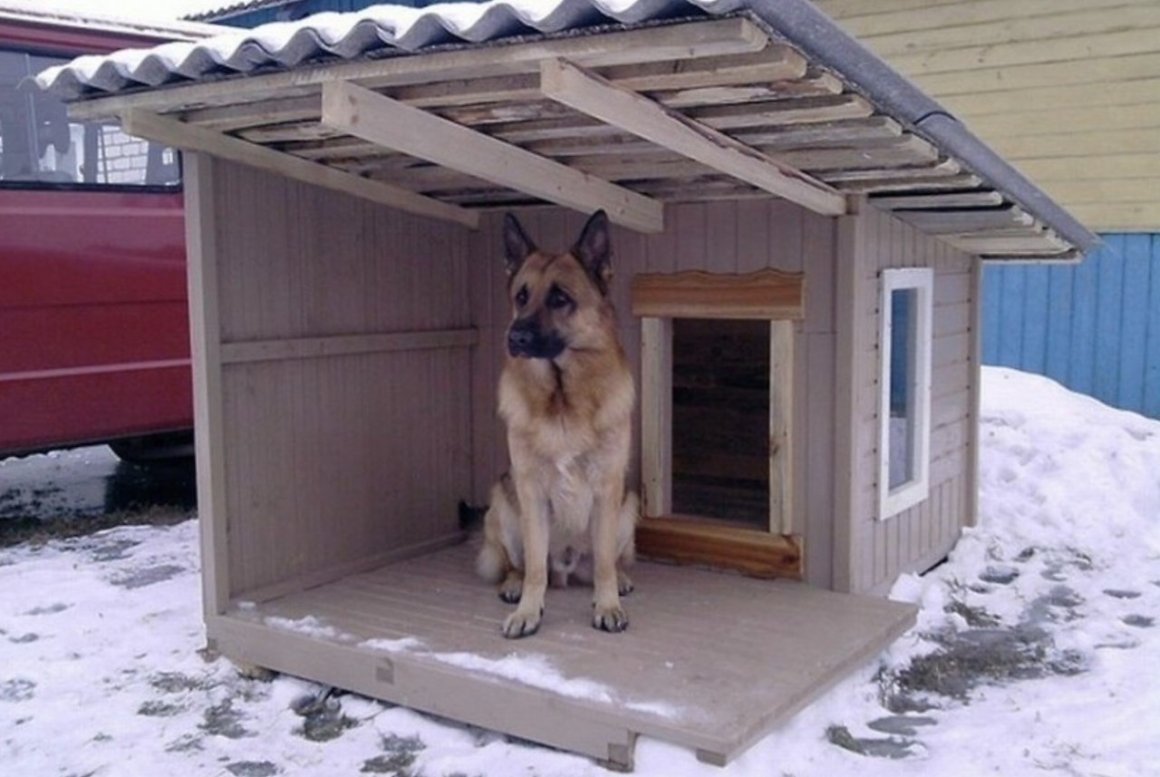 Конура для немецкой овчарки