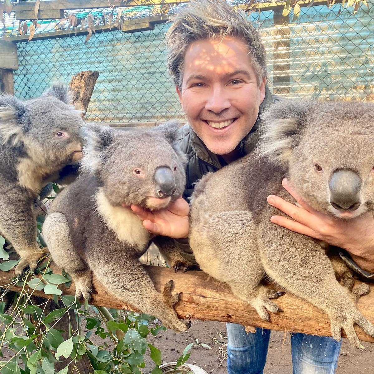 Животные живущие в Австралии