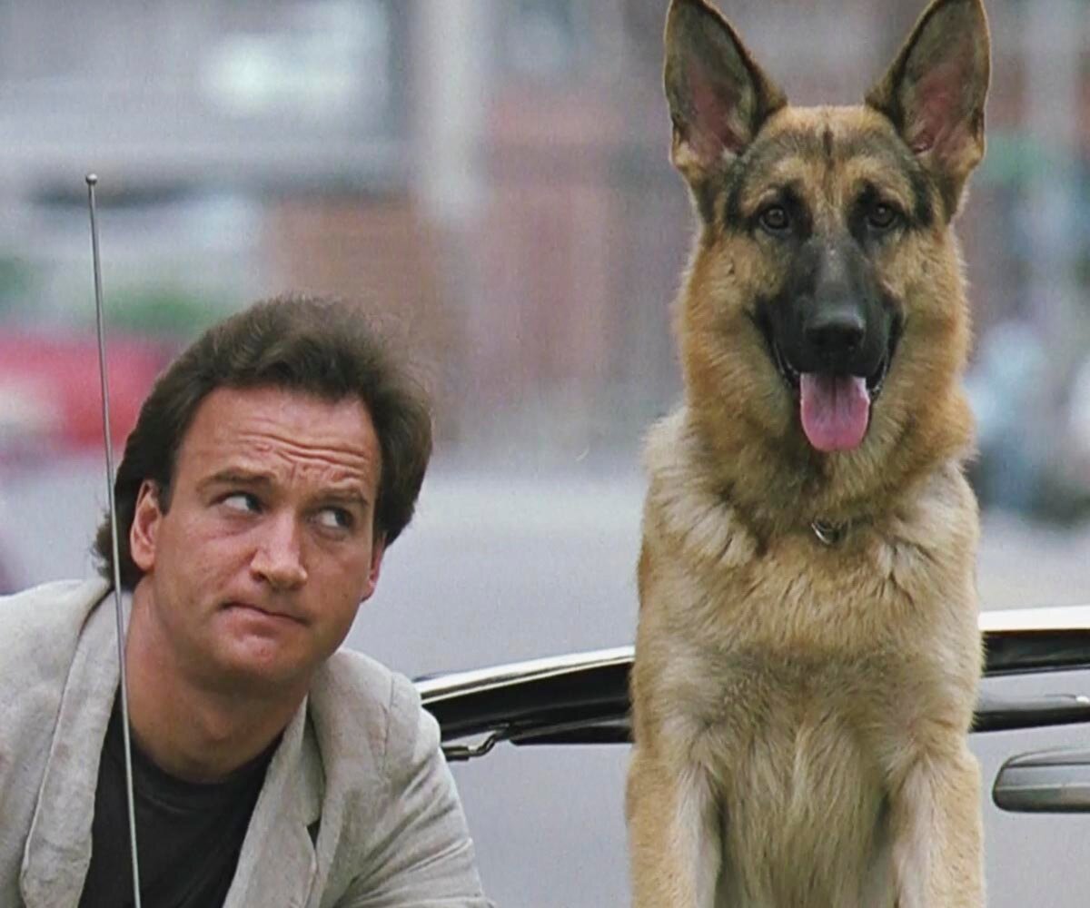 Курт Рассел фото сейчас