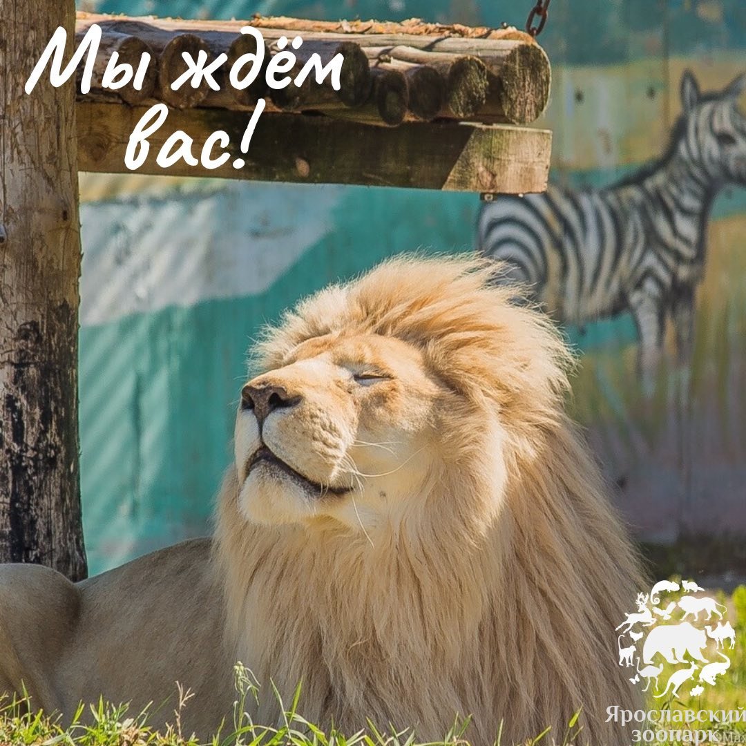 Зоопарк Австралии