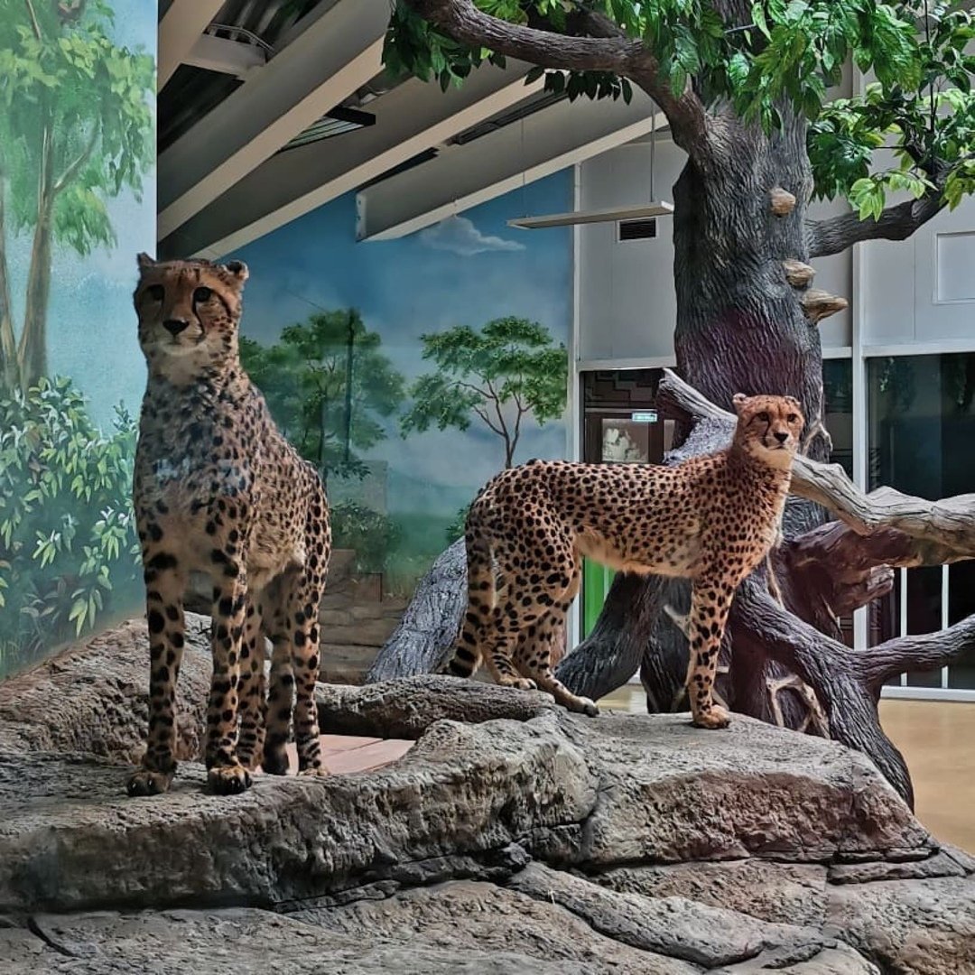 Биосфера Калуга зоопарк