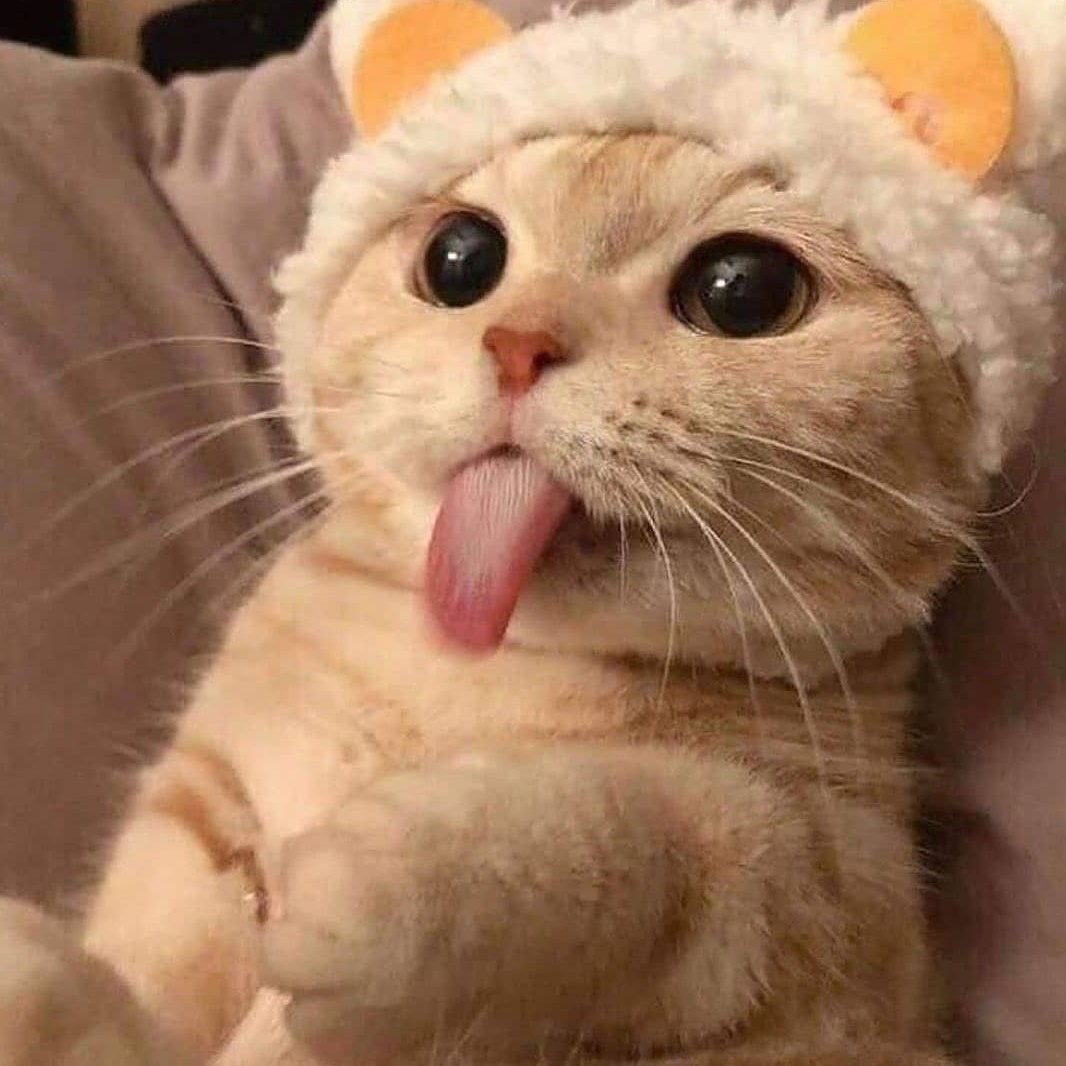 Прости меня