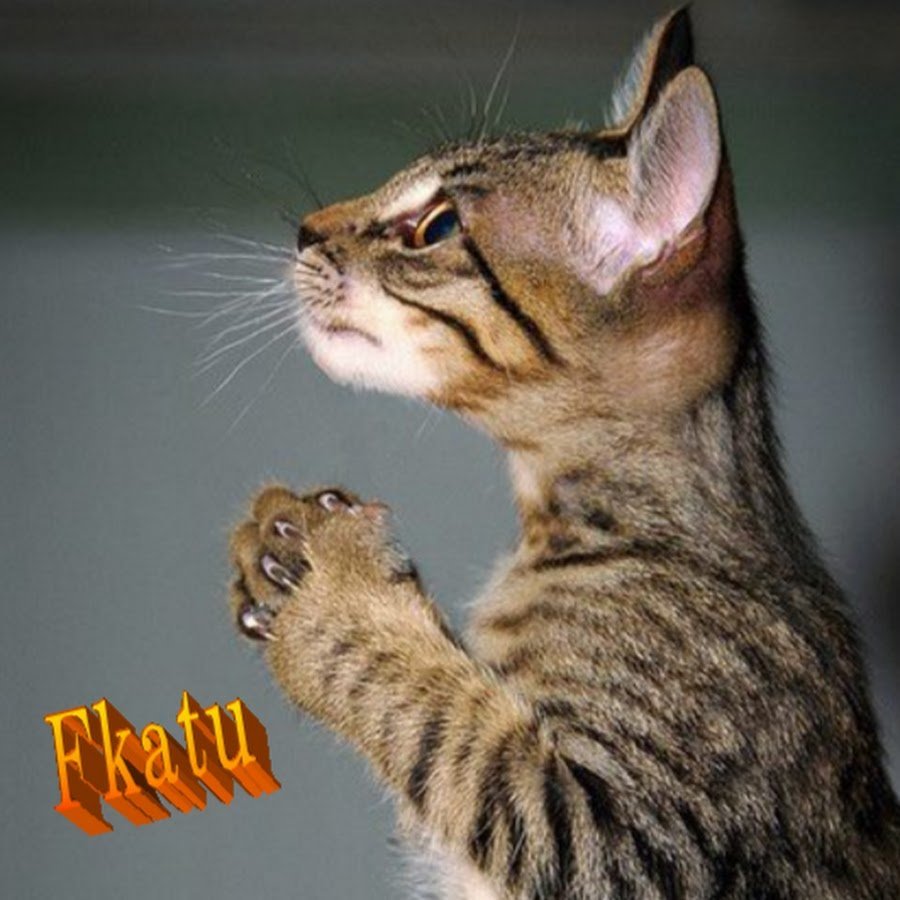 Не обижайся