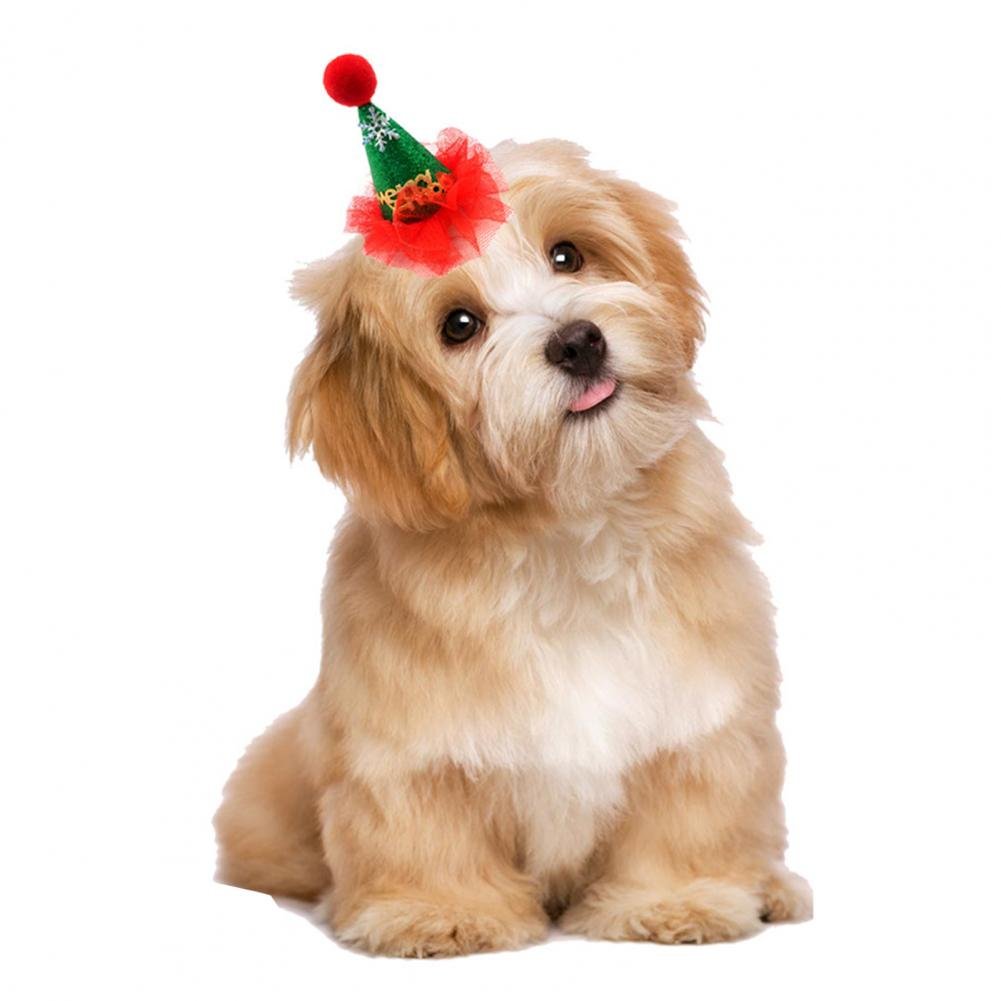 Кавапу белый