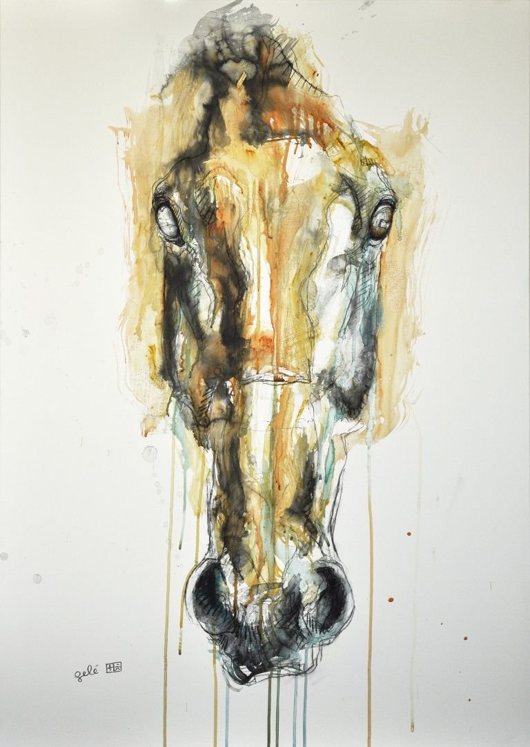 Голова лошади абстракция