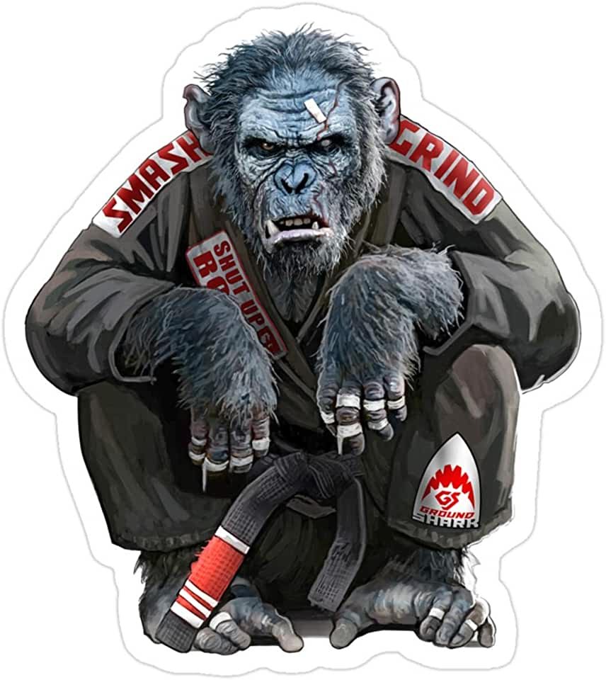 Селфи с гориллами в Конго