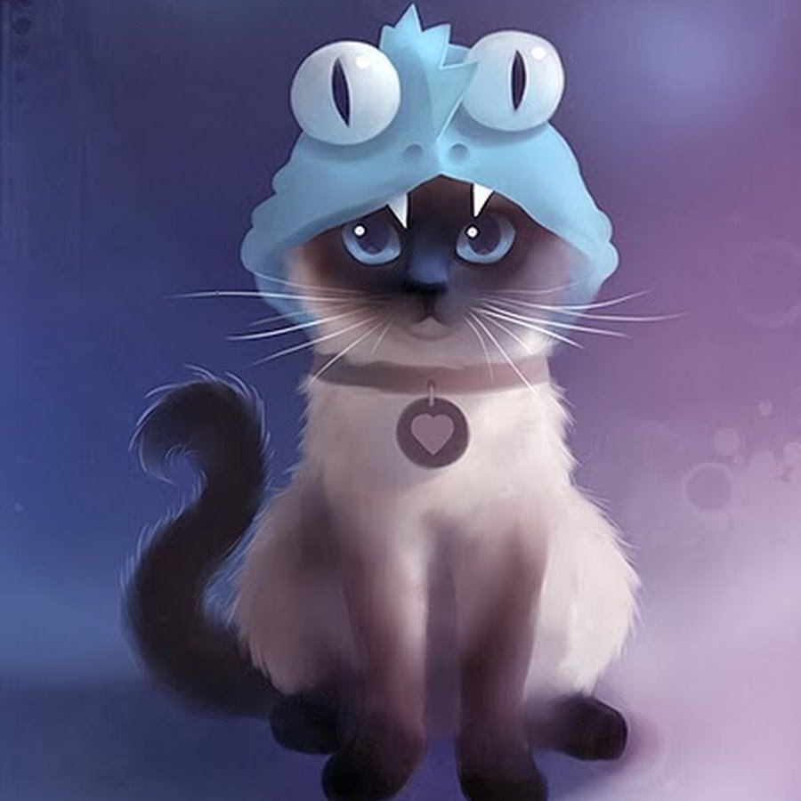 Метис шотландской и сиамской