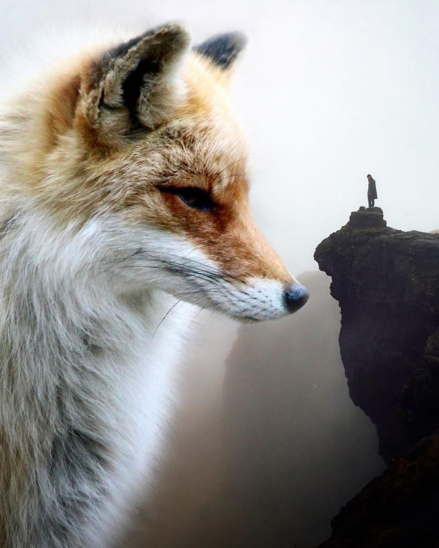 См мые необычные животные