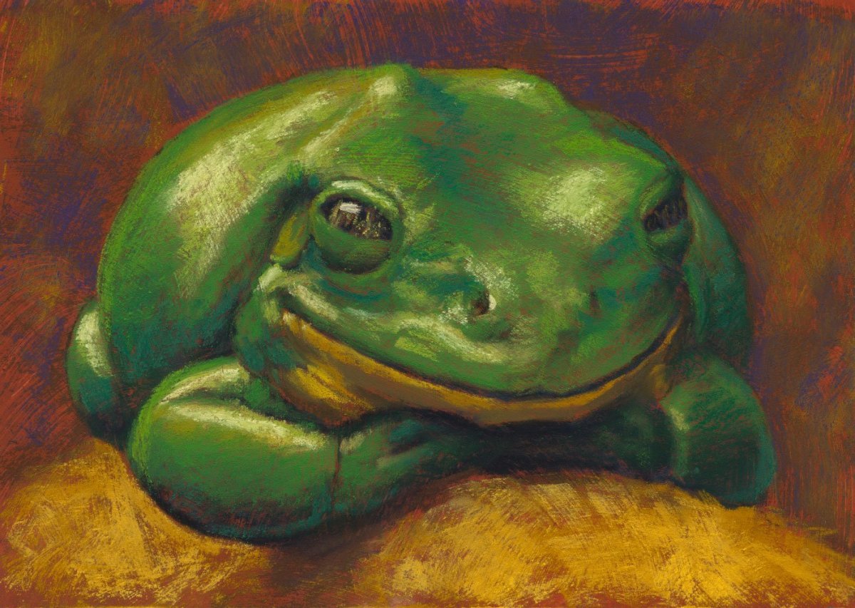 Карликовая квакша лягушка