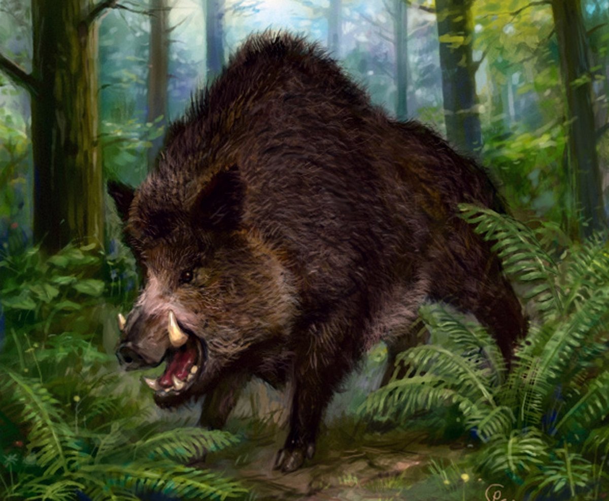 Дикий кабан арт