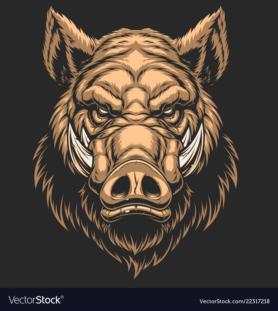 Дикий кабан секач