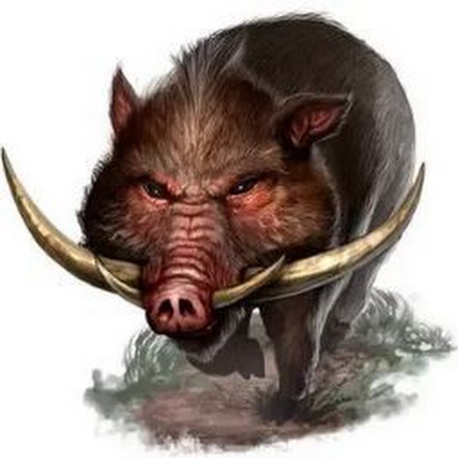 Гигантский кабан ДНД