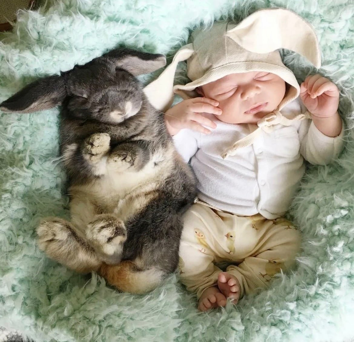 Кролик для детей