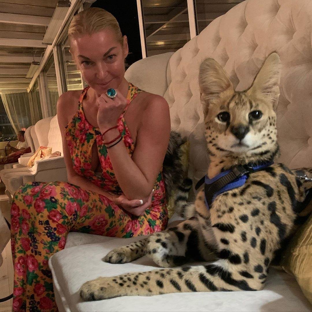 Сервал Волочковой