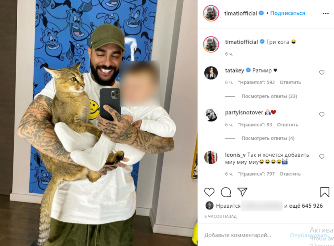 Порода котов у Тимати