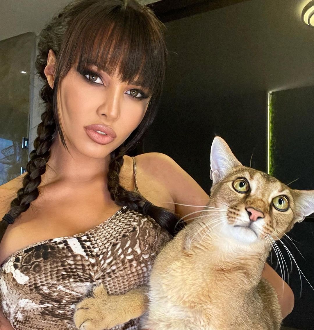 Кот Анастасии Решетовой