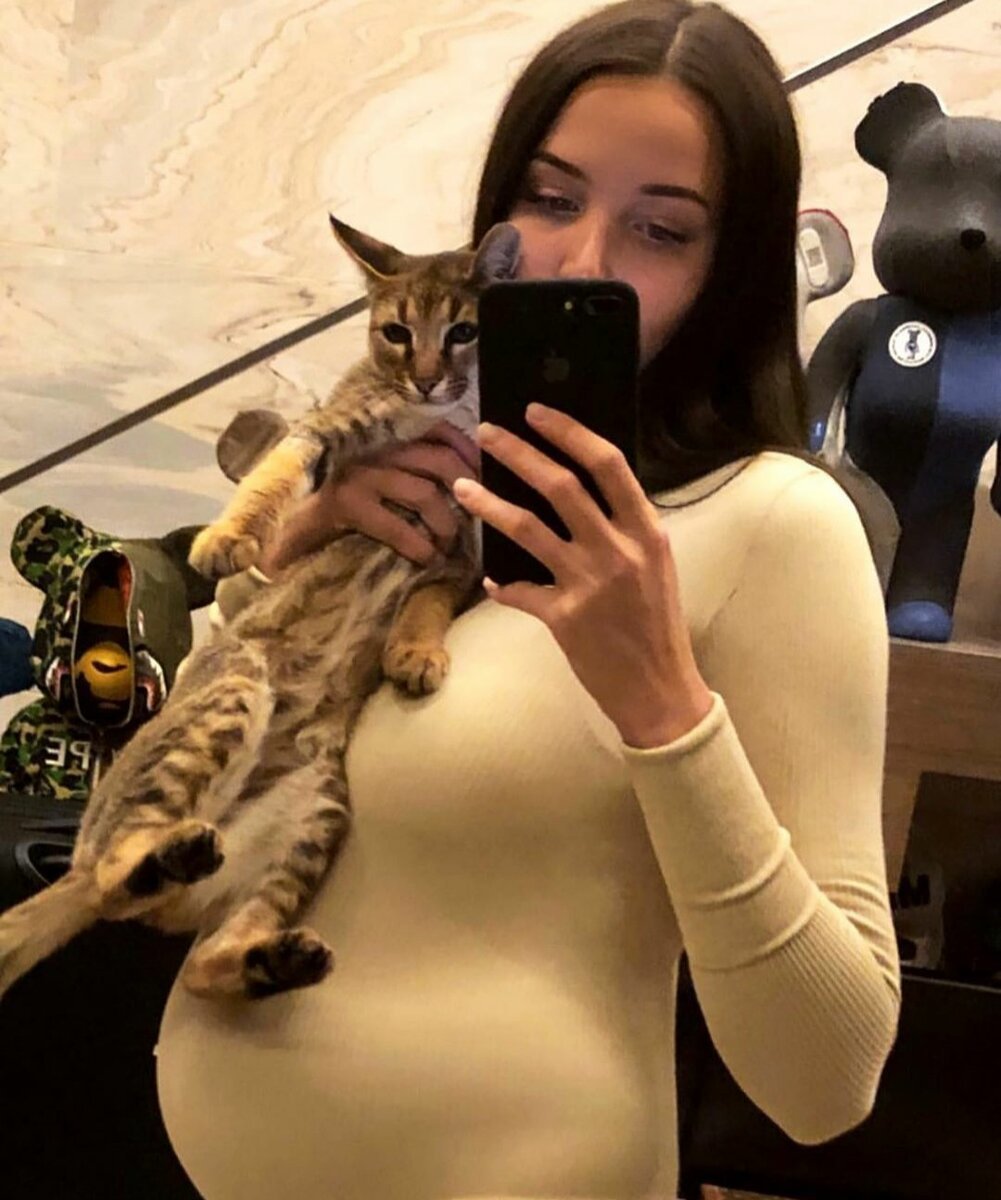 Кот Тимати порода чаузи