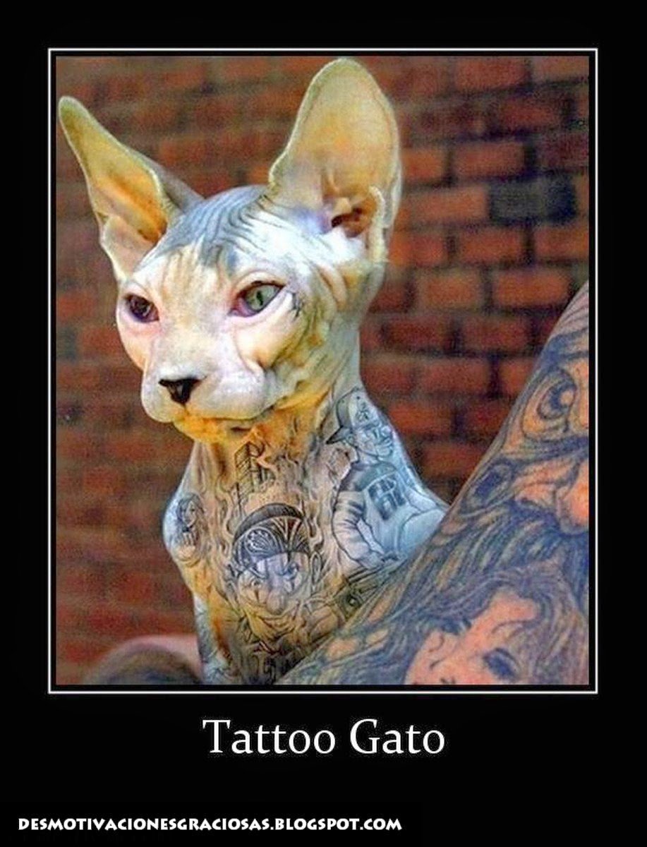 Саша Решетова