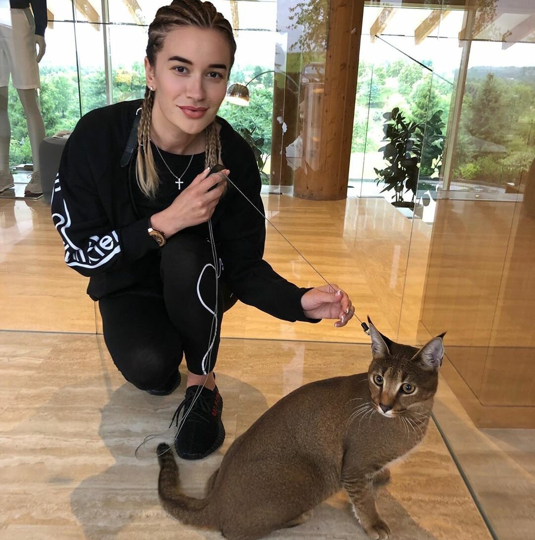 Сервал Афони