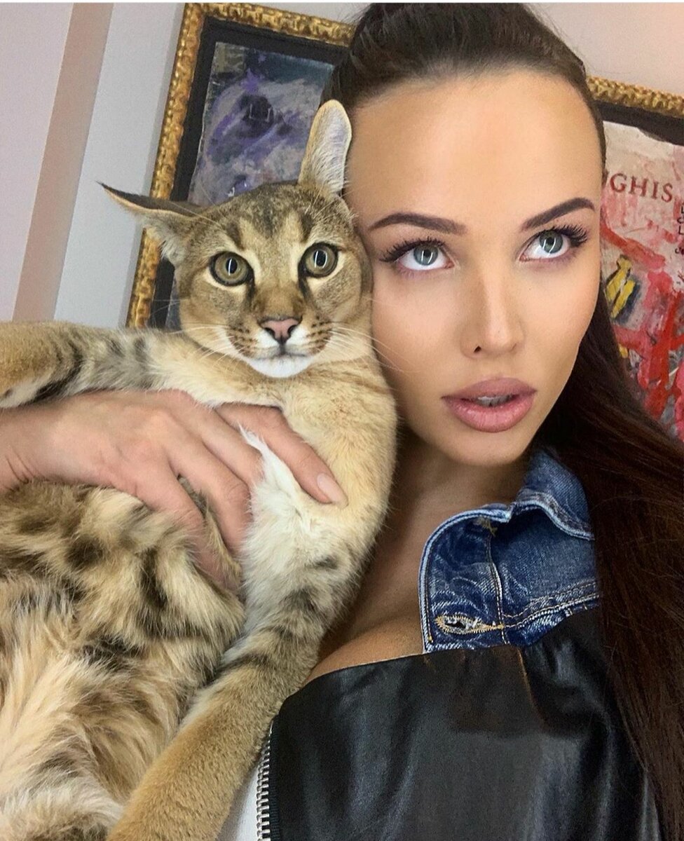 Чаузи Тимати