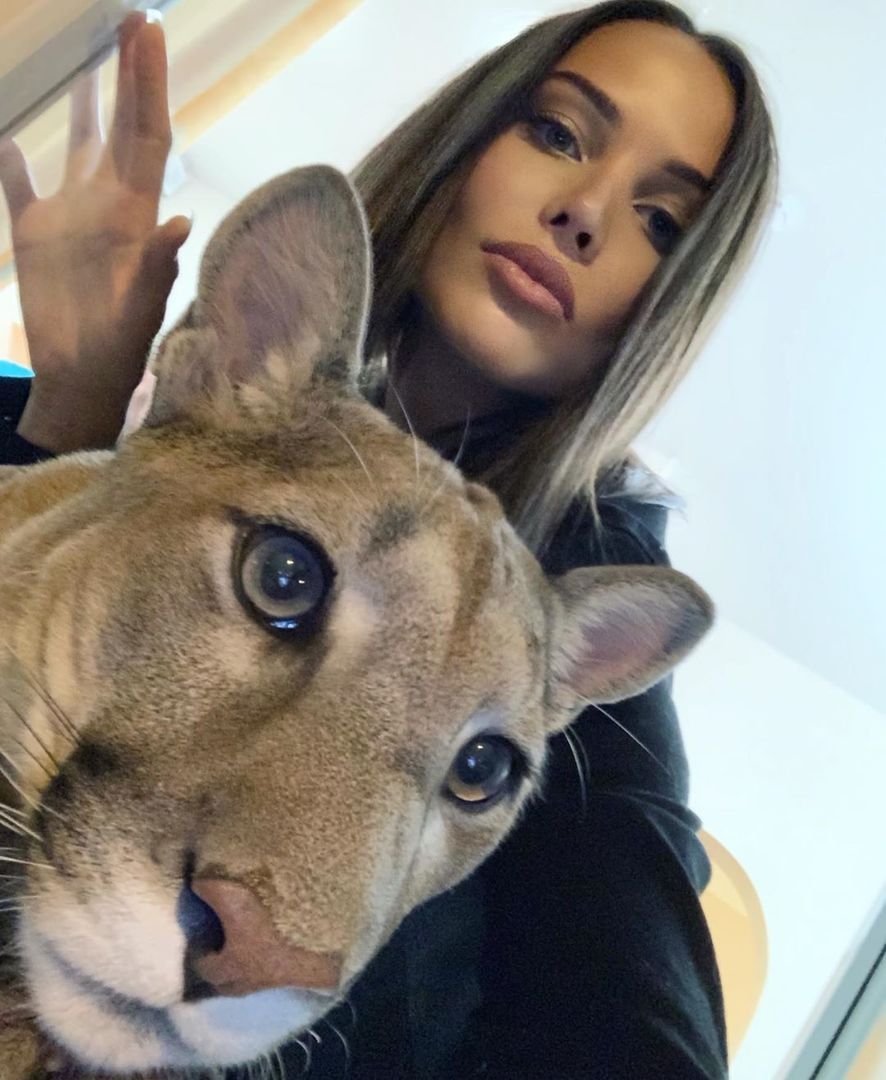 Собака и человек