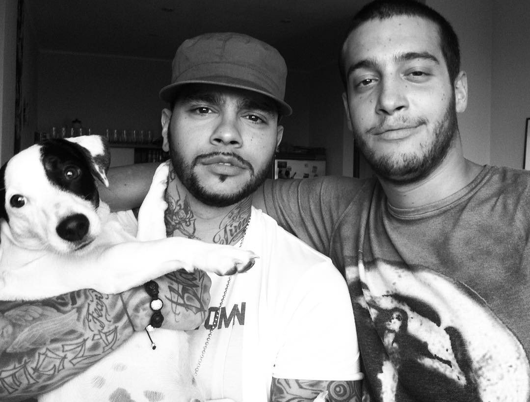 Кот Тимати порода